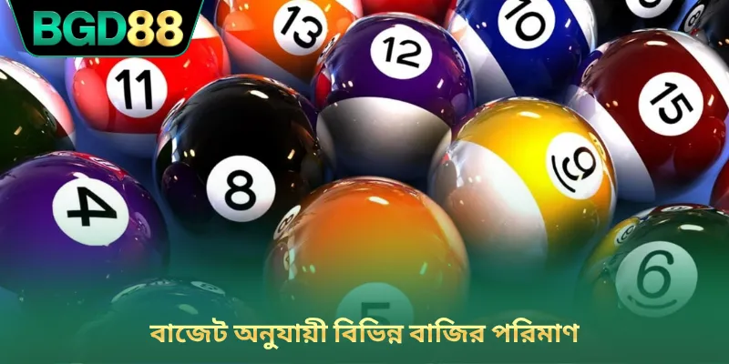 বাজেট অনুযায়ী বিভিন্ন বাজির পরিমাণ
