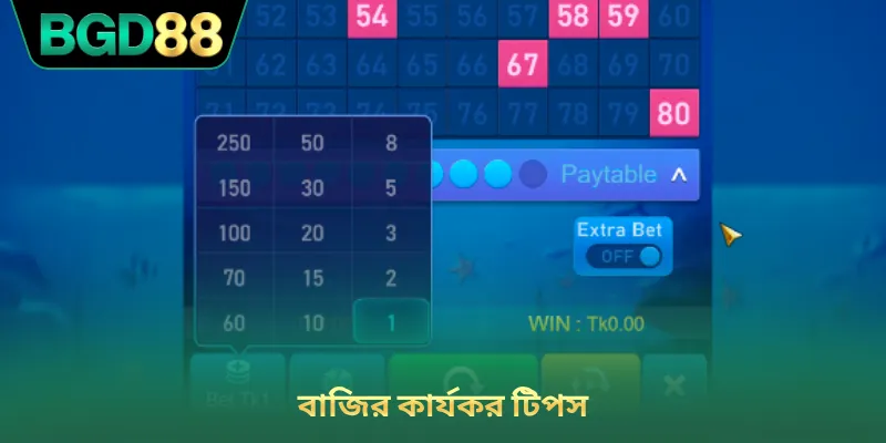 বাজির কার্যকর টিপস