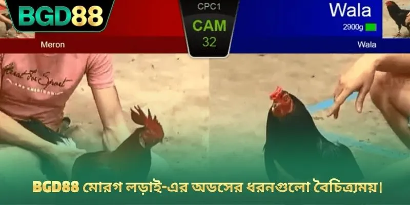 BGD88 মোরগ লড়াই-এর অডসের ধরনগুলো বৈচিত্র্যময়।