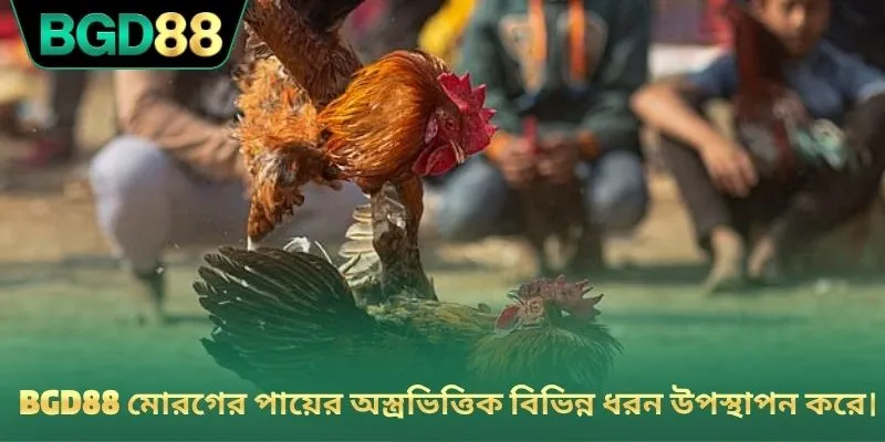 BGD88 মোরগের পায়ের অস্ত্রভিত্তিক বিভিন্ন ধরন উপস্থাপন করে।