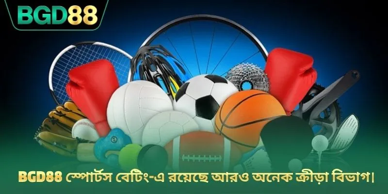 BGD88 স্পোর্টস বেটিং-এ রয়েছে আরও অনেক ক্রীড়া বিভাগ।