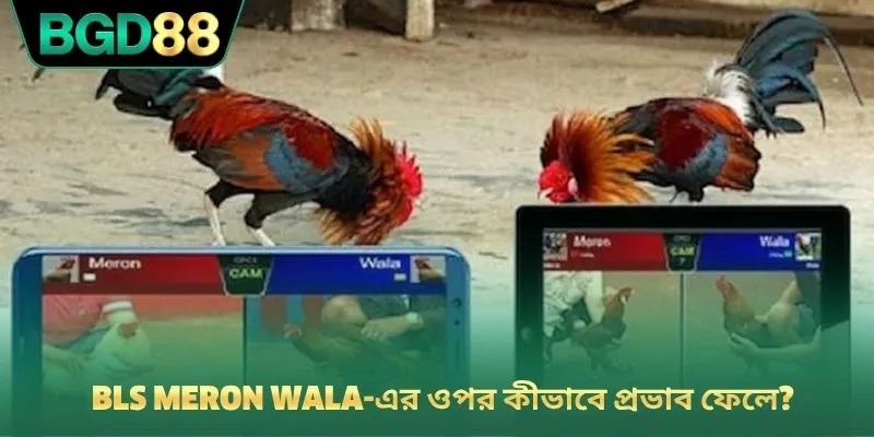 BLS Meron wala-এর ওপর কীভাবে প্রভাব ফেলে?