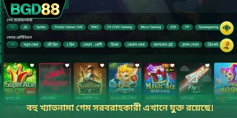 বহু খ্যাতনামা গেম সরবরাহকারী এখানে যুক্ত রয়েছে।