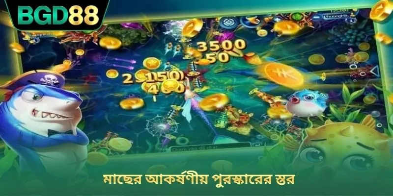 মাছের আকর্ষণীয় পুরস্কারের স্তর