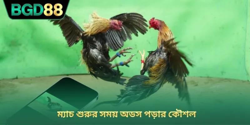 ম্যাচ শুরুর সময় অডস পড়ার কৌশল
