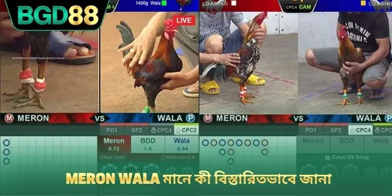 Meron wala মানে কী বিস্তারিতভাবে জানা
