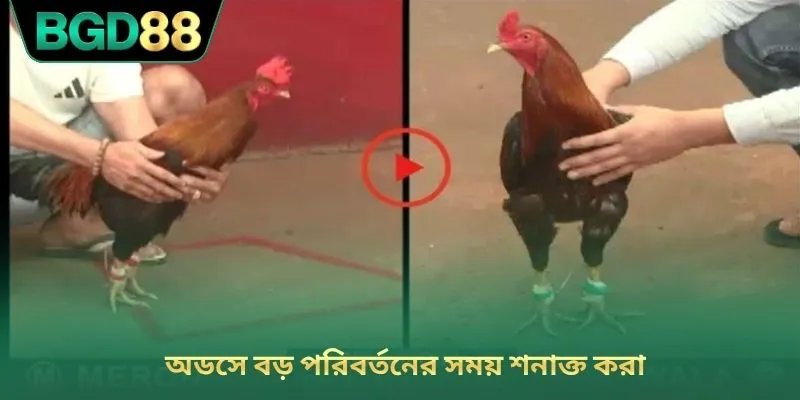 অডসে বড় পরিবর্তনের সময় শনাক্ত করা