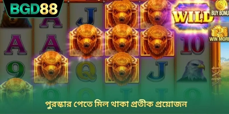 পুরস্কার পেতে মিল থাকা প্রতীক প্রয়োজন