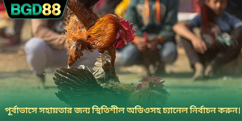 পূর্বাভাসে সহায়তার জন্য স্থিতিশীল অডিওসহ চ্যানেল নির্বাচন করুন।