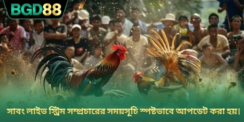 সাবং লাইভ স্ট্রিম সম্প্রচারের সময়সূচি স্পষ্টভাবে আপডেট করা হয়।
