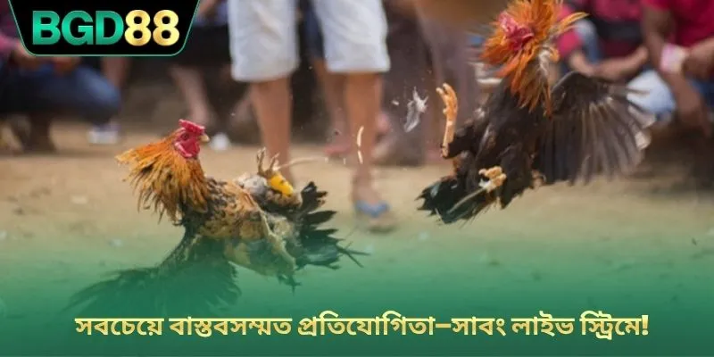 সবচেয়ে বাস্তবসম্মত প্রতিযোগিতা—সাবং লাইভ স্ট্রিমে!