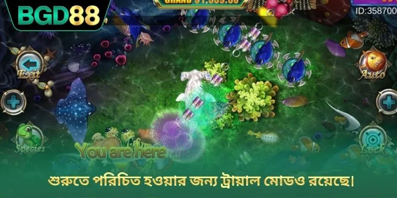 শুরুতে পরিচিত হওয়ার জন্য ট্রায়াল মোডও রয়েছে।